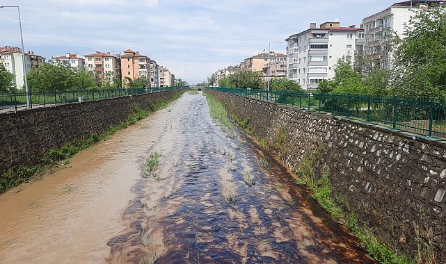 Kastamonu'da dereye kimyasal atık karıştı