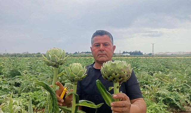 KKTC'de ilk kez yediği enginarı memleketinde üretti