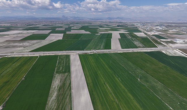 Konya Ovası'nda Cumhuriyet tarihinin en yüksek rekoltesi bekleniyor