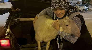 Kurbanlık olmaktan son anda kurtuldu