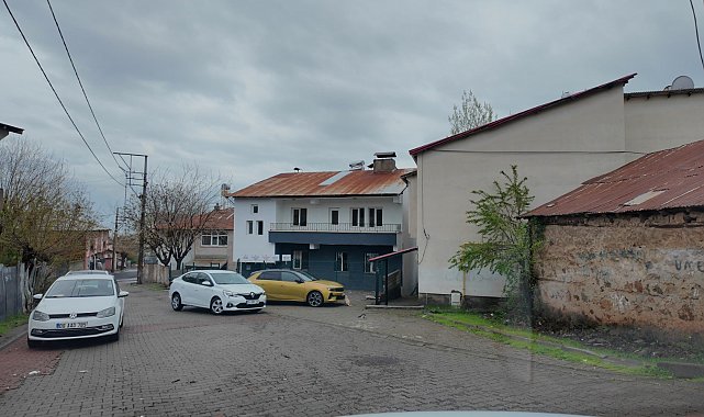 Kurdukları dernekle ev kiralayıp, sokak kedilerine yuva oldular