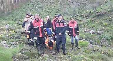 Mantar toplarken ayı saldırısında yaralandı