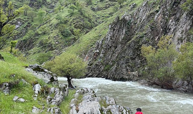 Muş'ta çaya düşen kadını arama çalışmaları sürüyor
