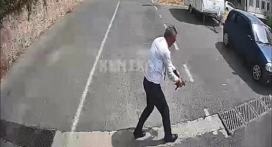 Otobüsü durdurup kaplumbağayı ezilmekten kurtardı