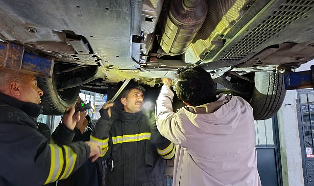 Otomobilin motor bölümüne giren kedi sanayide çıkarıldı