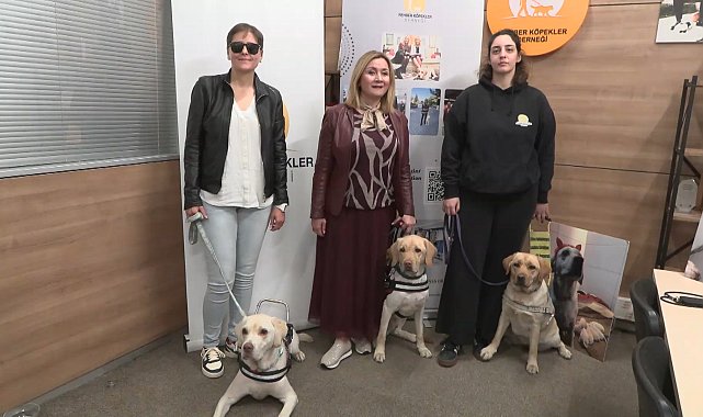 Rehber Köpekler Derneği Başkanı Tunçer: Türkiye'de aktif 8 rehber köpek bulunuyor; 300 görme engelli sırada bekliyor