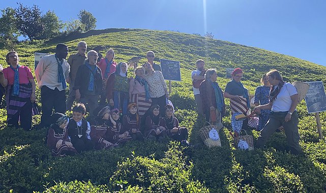 Rize'de çay hasadı şenlikle karşılandı