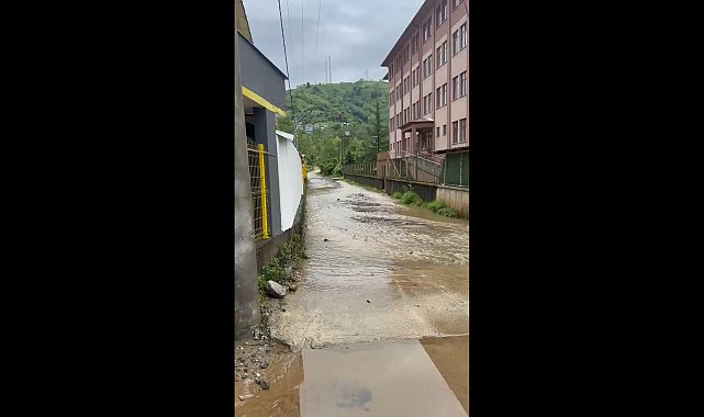 Rize'de sağanak; çay fabrikası ile inşaat alanını su bastı