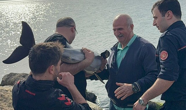 Samsun'da kayalıklara sıkışan yunusu polis kurtardı