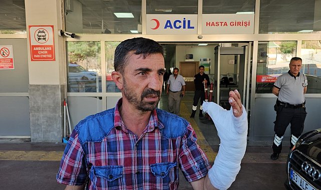 Şanlıurfa'da kurban kesimi sırasında 232 kişi yaralandı
