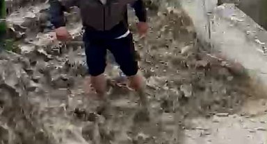 Sel sularına kapılan kediyi boğulmaktan kurtardı
