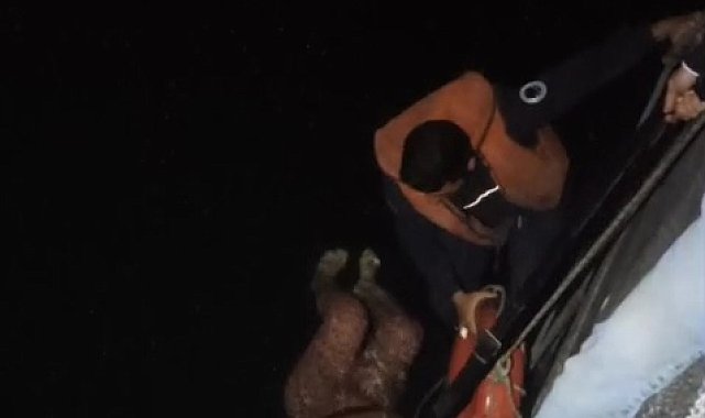 Seyhan Nehri'ne düşen kadını itfaiye ekibi kurtardı