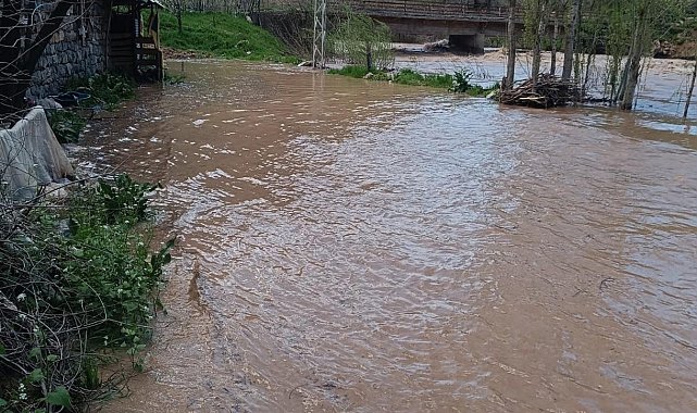 Şırnak'ta Habur Çayı taştı, ev ve ahırları su bastı