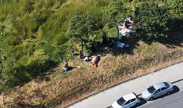 Sultangazi'de kurbanlıkları yol kenarları ve parklarda kestiler