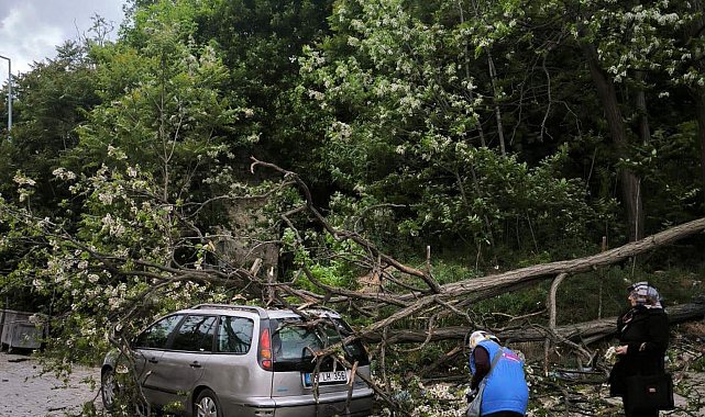 Tekirdağ'da kuvvetli rüzgarda ağaç otomobilin üzerine devrildi