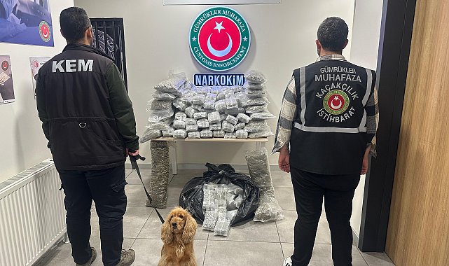Ticaret Bakanlığı: 659 kilo uyuşturucu ele geçirildi