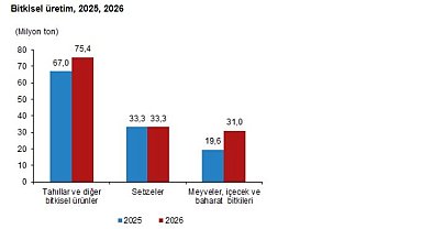 TÜİK: Bitkisel üretimde artış bekleniyor