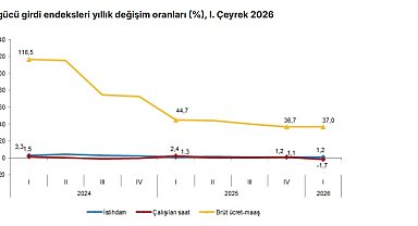 TÜİK: İstihdam endeksi yıllık yüzde 1,2 arttı