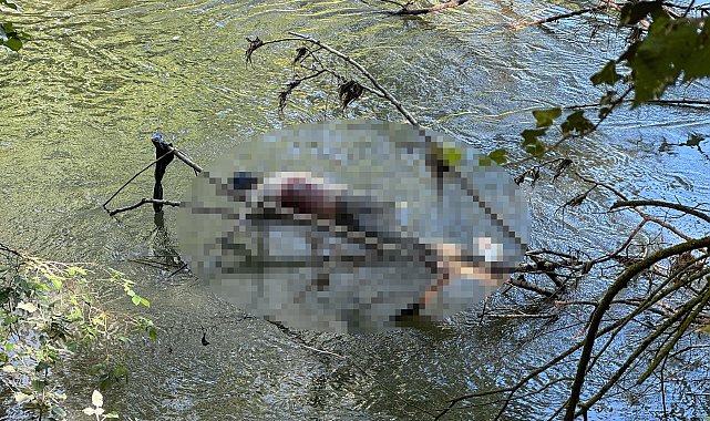 Tunca Nehri'nde erkek cesedi bulundu