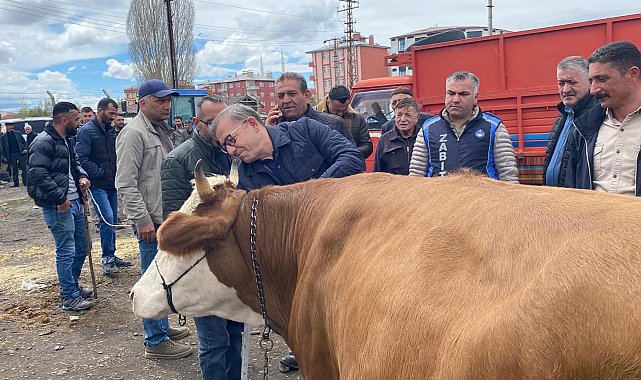 Vali Polat, kurban pazarlığında ara buluculuk yaptı