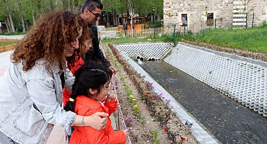Van'da binlerce inci kefali üreme göçünde tarihle buluştu
