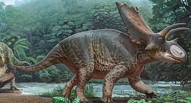 Yeni dinozor türü bulundu! 120 milyon yıl önce…