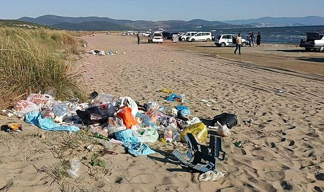 'Deniz kaplumbağalarının yuvalama alanı kıyı kumullar tehlike altında'