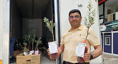 5 bin zeytin fidanı dağıtıp, oğlunun düğününe çağırdı