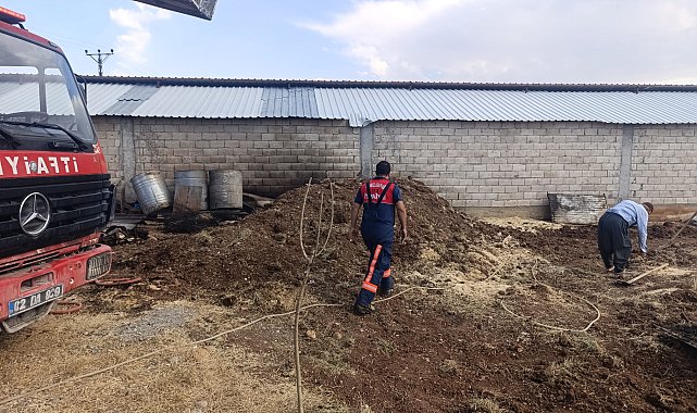 Adıyaman'da örtü ve anız yangınları; 1500 hektar alan zarar gördü