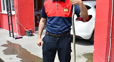 Aile Sağlığı Merkezi'ne giren yılanı itfaiye ekibi yakaladı