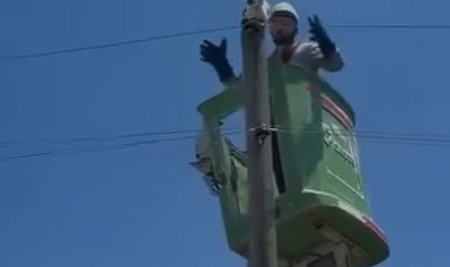 Amasya'da elektrik direğinde mahsur kalan kedi kurtarıldı