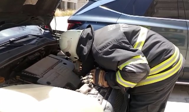 Aracın motoruna sıkışan kedi kurtarıldı