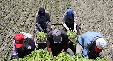 Artık onlar da ihbar tazminatı alacak