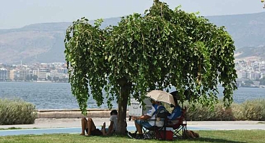 Aşırı sıcaklar kapıda! “Bu sene görülmeyeni görebiliriz!”