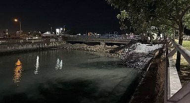 Bakırköy Çırpıcı Deresi'nde toplu balık ölümü