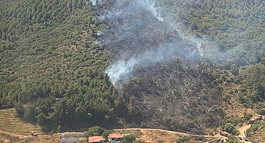 Balıkesir'de orman yangını
