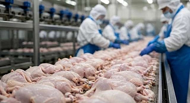 Beyaz et operasyonunda yeni gelişme