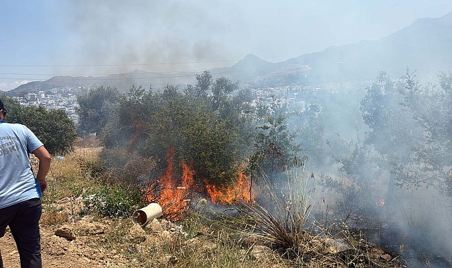 Bodrum'da maki yangınında 1 dekar alan zarar gördü