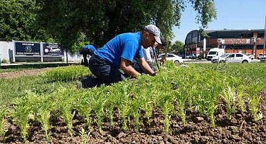 Bursa çiçeklerle donatılıyor