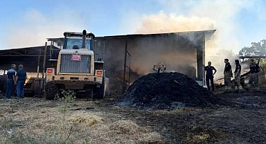 Bursa’da büyük çiftlik yangını