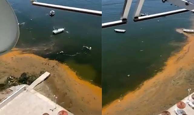Bursa’da kabus geri döndü! Sahillerden kahreden görüntü…