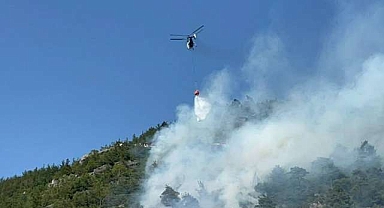 Bursa'da ormanlık alanda korkutan yangın
