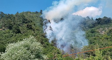 Bursa'da orman yangını