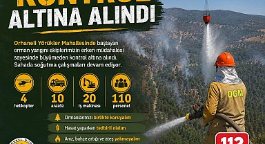 Bursa'da orman yangını