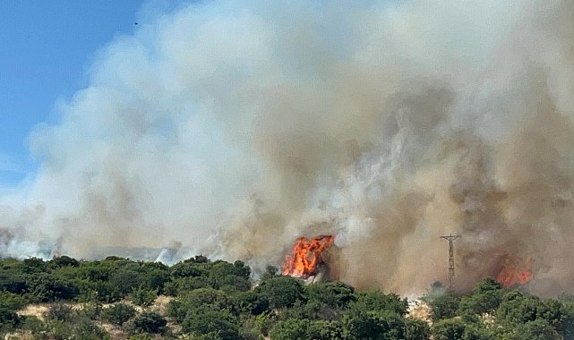 Çanakkale'de bozuk ormanda yangın