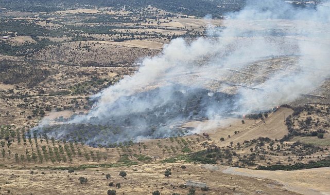 Çanakkale'de orman yangını kontrol altında