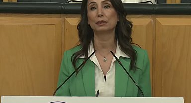 DEM Parti'li Hatimoğulları: Çerçeve yasa AKP ile görüşülmüştür