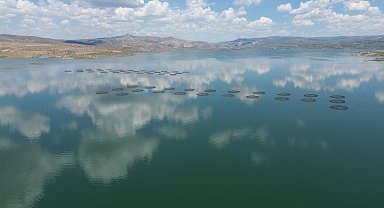 Denizi olmayan Kayseri'den 49 ülkeye balık ihracı
