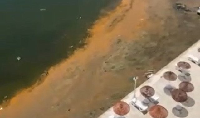 Doç. Dr. Dindar: Marmara'da görülen aşırı alg patlamaları müsilajın habercisi