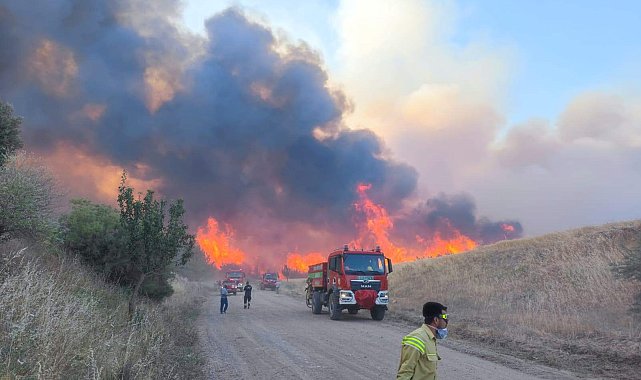 Edirne'de ormanlara giriş yasağı